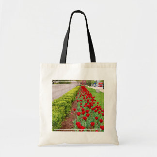 Bolsa Tote Bulbs Haupt
