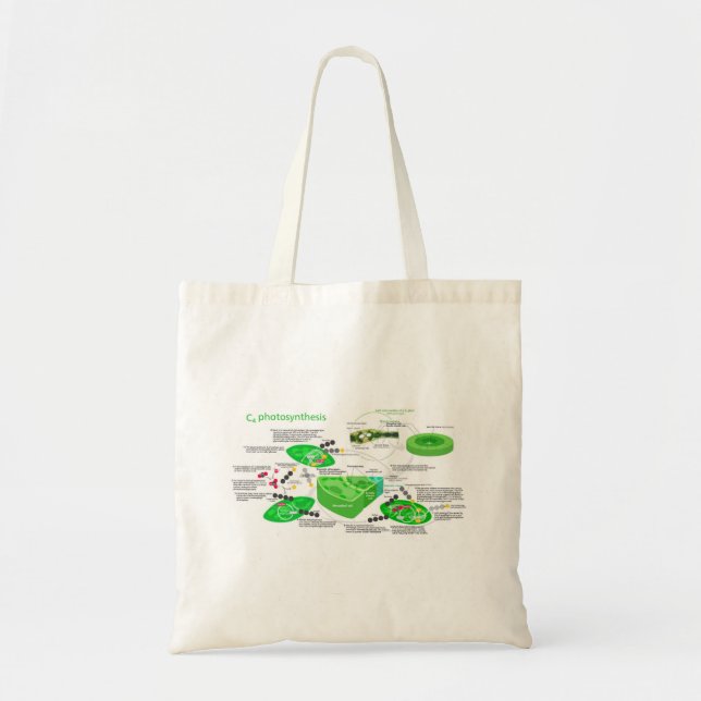 Bolsa Tote C4 Fotossíntese Diagrama Folha (Frente)