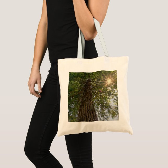 Bolsa Tote Calmando Sequoia Com Foto Da Natureza Sunburst (Frente (produto))