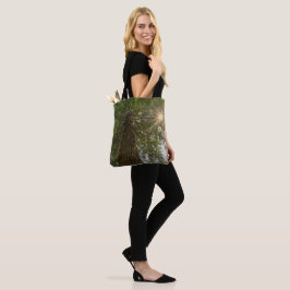 Bolsa Tote Calmando Sequoia Com Natureza Sunburst Foto Grande
