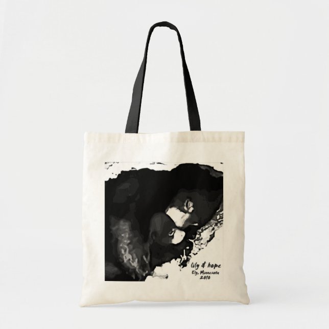 Bolsa Tote Came Ely 2010 do antro (Frente)