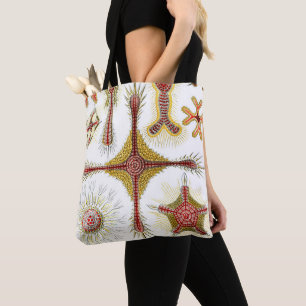 Bolsa Tote Camomila Selvagem por Ernst Haeckel, Natureza Vint