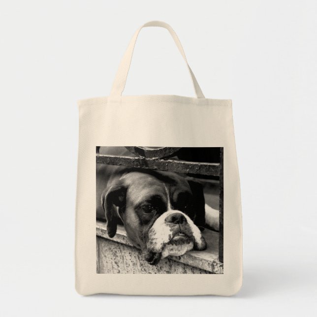 Bolsa Tote Cão-boxim no Windowsill gtcnm (Frente)