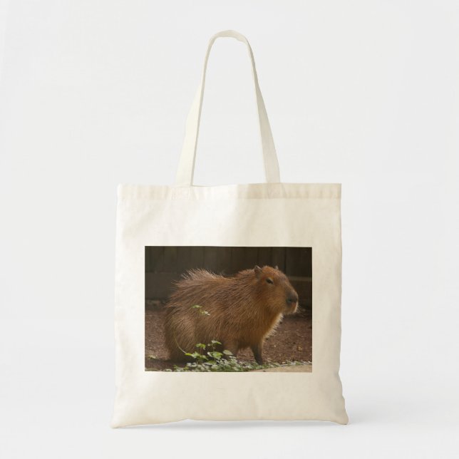 Bolsa Tote Capybara (Frente)