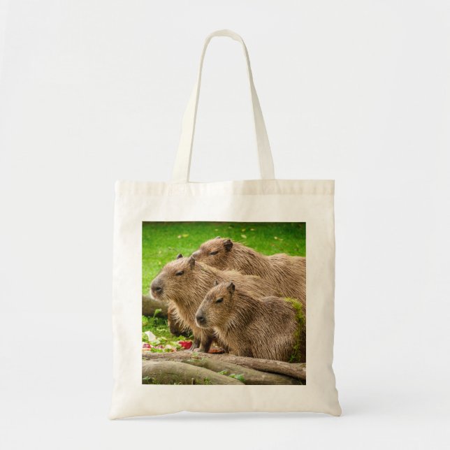 Bolsa Tote Capybara Trio (Frente)