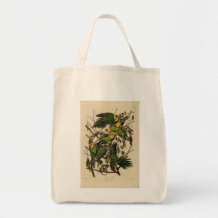 Bolsa Tote Carolina Parrot das Aves da América de Audubon