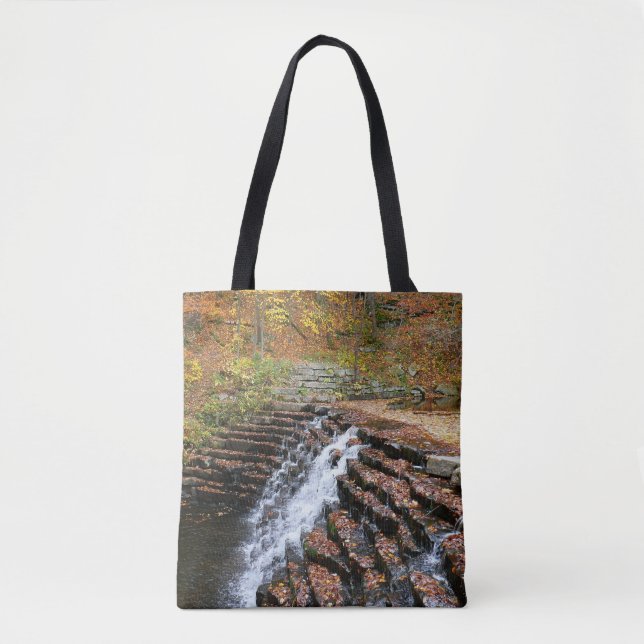 Bolsa Tote Cascata em Laurel Hill State Park II (Frente)