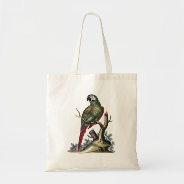 Bolsa Tote Cenário Verde Antiquado (Frente)