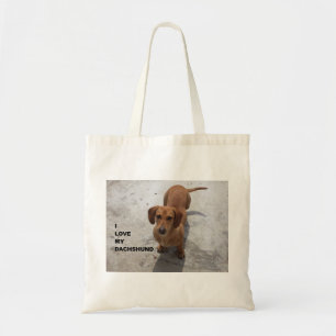 Bolsa Tote cheio vermelho dachshund w pic