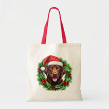 Chocolate Lab Retriever Frota de Natal