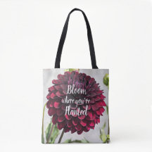 Citar Flor de onde Você é Plantada Vermelha Dahlia