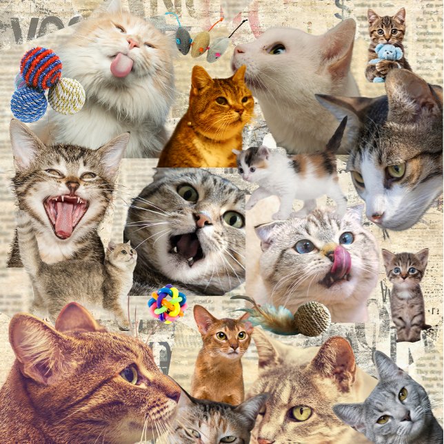Bolsa Tote Colagem de Gatos e Brinquedos (Cat Collage Tote )