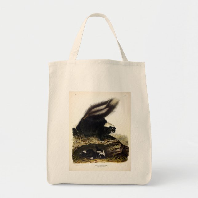 Bolsa Tote Common American Skunk ou Striped Skunk, de Audubon (Frente)