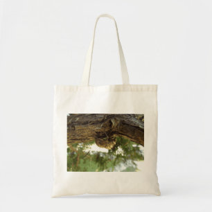 Bolsa Tote Concha de Cicada. Estava com pressa.