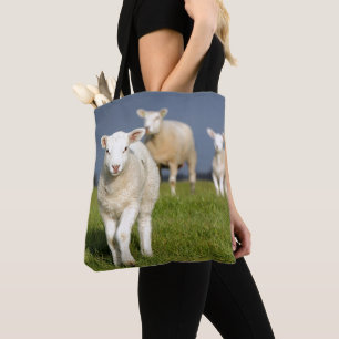 Bolsa Tote Cordeiro curioso