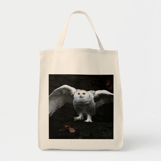 Bolsa Tote Coruja Neve com Asas Abertas gtcna (Frente)