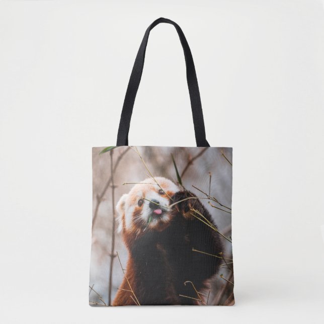 BOLSA TOTE CUTE KOALA BEAR (Frente)