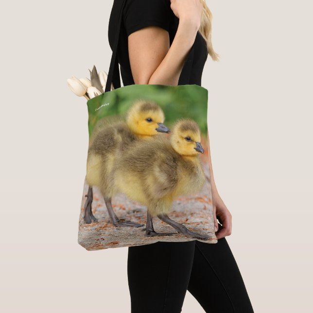 Bolsa Tote Cuteness on Parade: Canadá Goslings (Close Up)