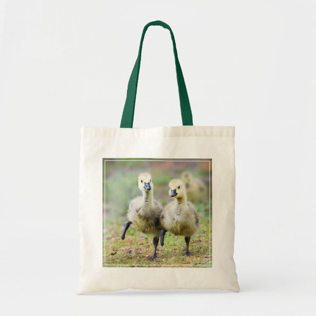 Bolsa Tote Cutest Baby Animals | Canadian Goose Goslings (Frente)