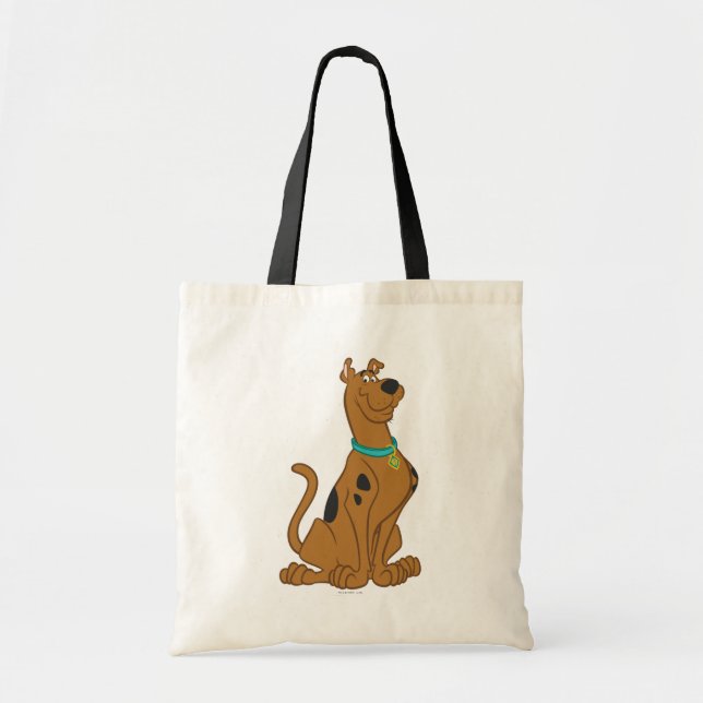 Bolsa Tote Cutro De Scooby-Doo Que Bonito (Frente)
