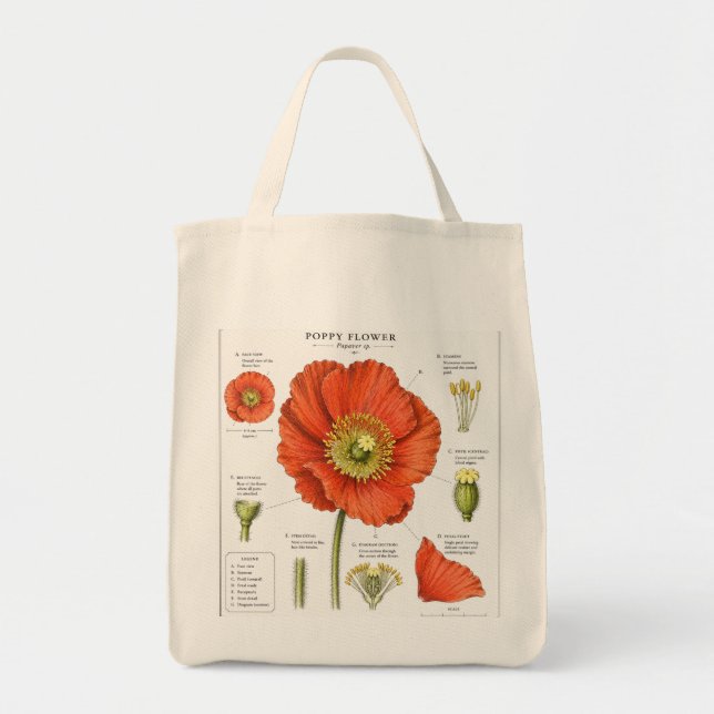 Bolsa Tote de Ilustração Floral Botânica   (Frente)