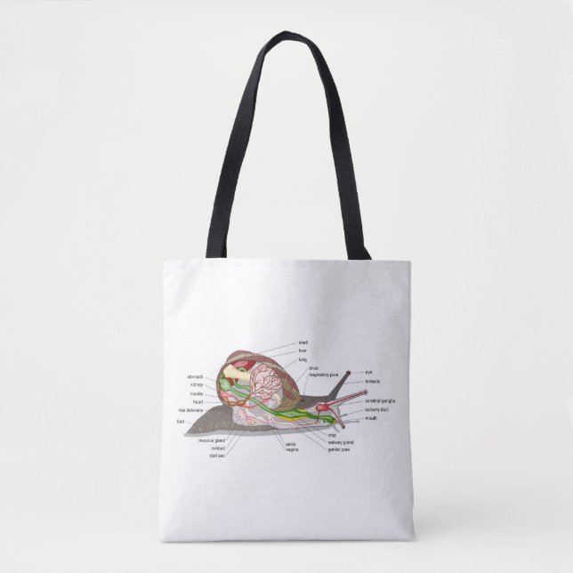 Bolsa Tote Diagram snail Helix aspersa split-sectioned organ  (Frente)