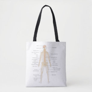 Bolsa Tote Diagrama do Corpo do Sistema Nervoso Humano