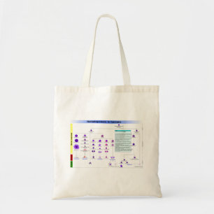 Bolsa Tote Diagrama Hematopoiese em Células-tronco Humanas