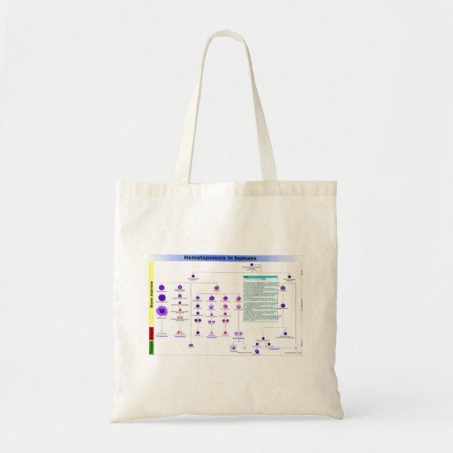Bolsa Tote Diagrama Hematopoiese em Células-tronco Humanas (Frente)