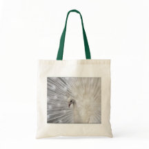 Divertimento superior de Skully