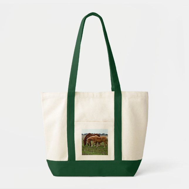 Bolsa Tote Égua Castanha e Potro Palomino, (Frente)