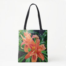 Elegante Feita Laranja Dupla Flor Daylily