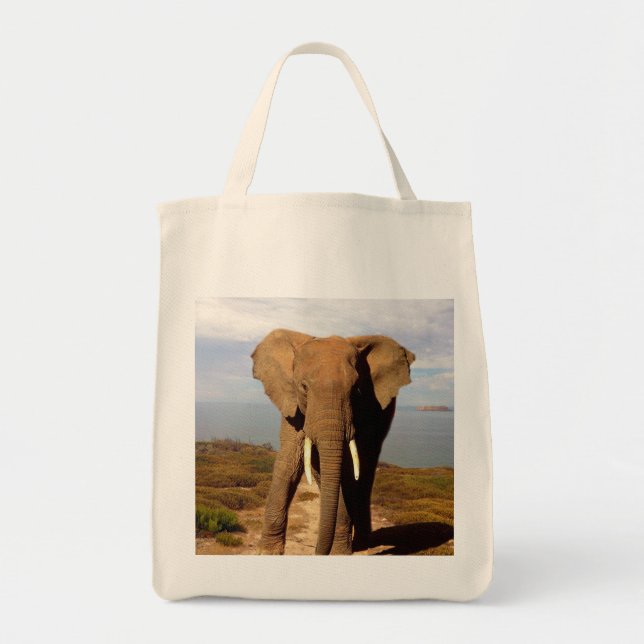 Bolsa Tote Elephant Beach Day Outing, (Frente)
