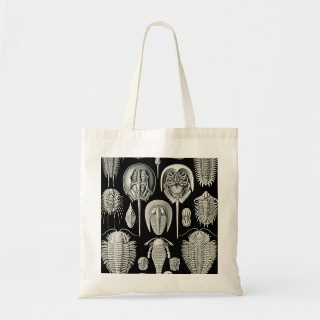 Bolsa Tote Ernst Haeckel Aspidonia (Frente)