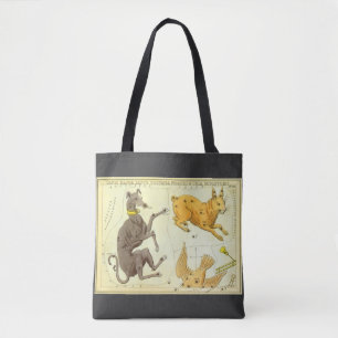 Bolsa Tote Espelho da Urânia, Mapa Celestial da Astronomia Vi