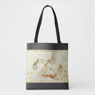 Bolsa Tote Espelho de Urânia, Mapa Celeste de Astronomia Anti