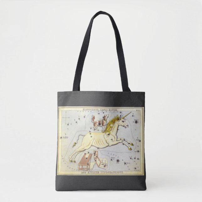 Bolsa Tote Espelho de Urânia, Mapa Celeste de Astronomia Anti (Frente)