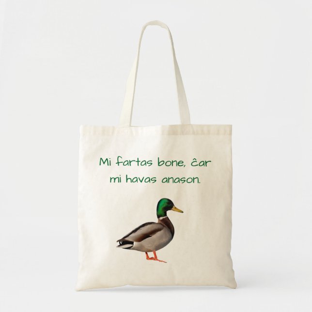 Bolsa Tote Esperanto: Osso dos fartas do MI, MI ĉar Havas (Frente)