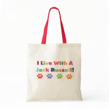 Eu Moro Com Um Jack Russell