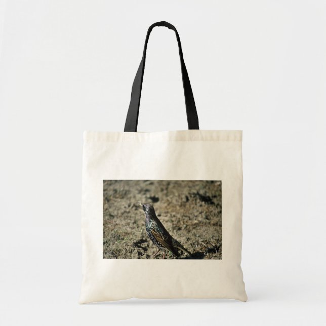 Bolsa Tote Europeu Starling (Frente)