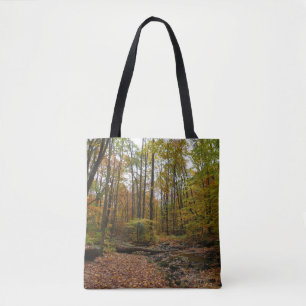 Bolsa Tote Fall Creek em Laurel Hill State Park na Pensilvâni