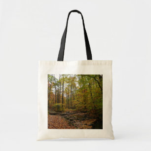 Bolsa Tote Fall Creek em Laurel Hill State Park na Pensilvâni