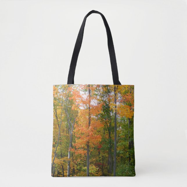 Bolsa Tote Fall Maple Trees Autumn Nature Fotografia (Frente)