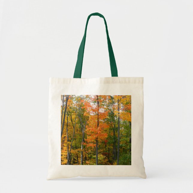 Bolsa Tote Fall Maple Trees Autumn Nature Fotografia (Frente)
