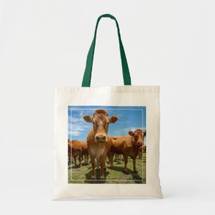 Bolsa Tote Fazendas Castanho