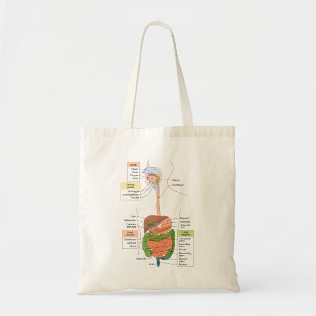 Bolsa Tote Figura Gastrointestinal Humano (Frente)