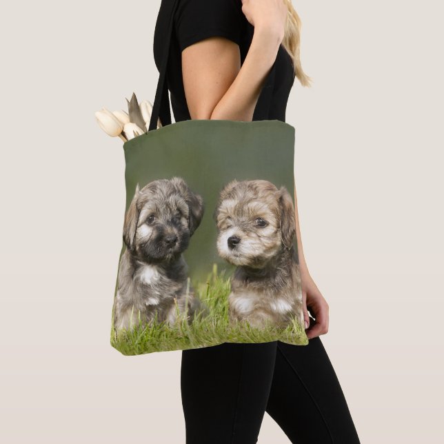 Bolsa Tote Filhotes de cachorro de Havanese (Close Up)