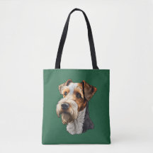 Fio Hair Fox Terrier
