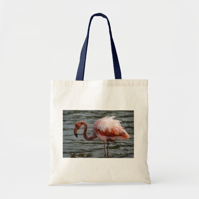 Bolsa Tote Flamingo das Ilhas Galápagos (Frente)