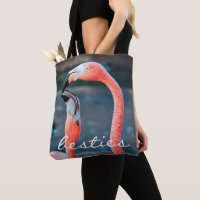 Flamingos rosa Fotografias Besties Script Na moda 